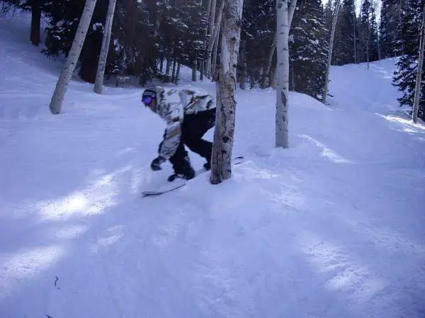 Snowboarding through trees