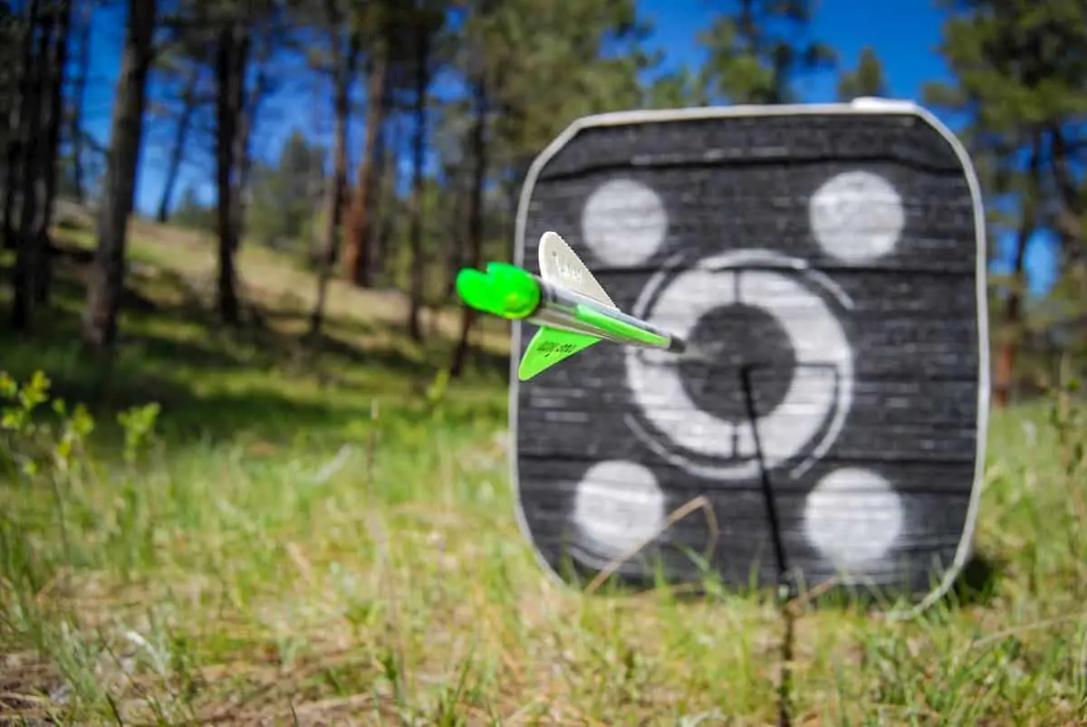Arrow In Target in outdoor area - Where Can I Do Archery
