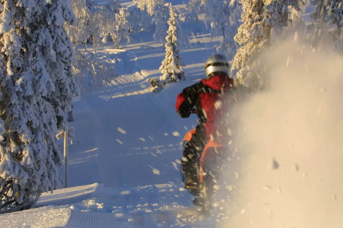 snowmobile roost
